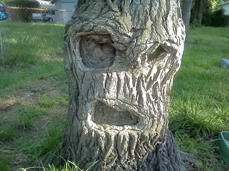 Pareidolie Visage 2